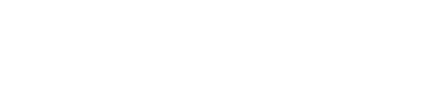 TAMU4D Logo